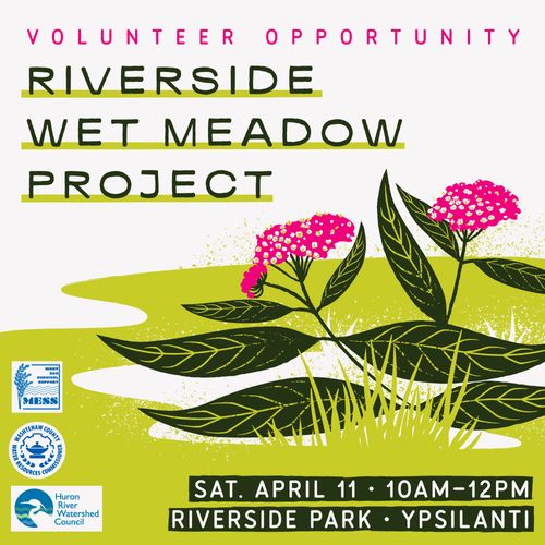 Volunteer: Riverside Wet Meadow Project