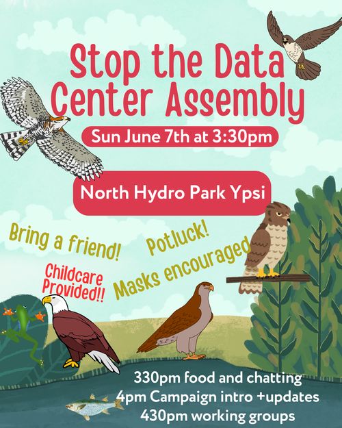 Image: Various birds of prey, trees, and fish in a park.

Text: "Stop the Data Center Assembly. Sun June 7th at 3:30 pm. North Hydro Park Ypsi. Bring a friend! Potluck! Childcare provided! Masks encouraged. 330pm food and chatting. 4 pm Campaign intro +updates. 430 working groups"